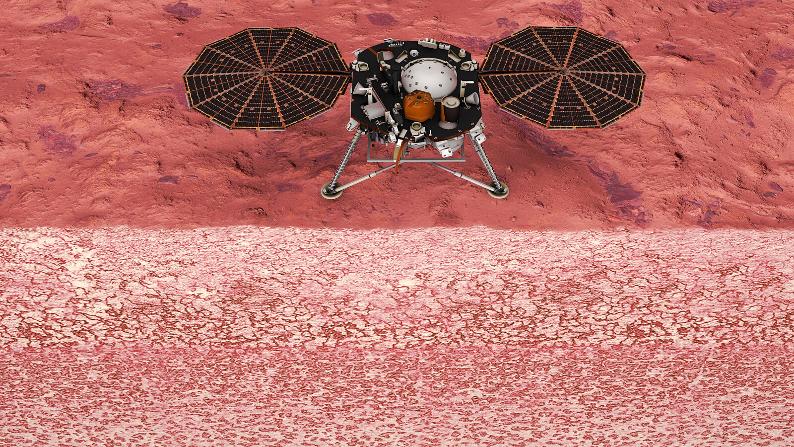 NASA InSight lander on the Martian surface
